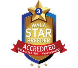 WALA Star Breeder